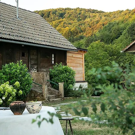 Hiša 1875 - Authentic Boutique Heritage Kostanjevica na Krki