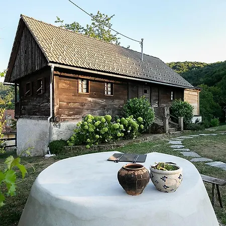 Hiša 1875 - Authentic Boutique Heritage *