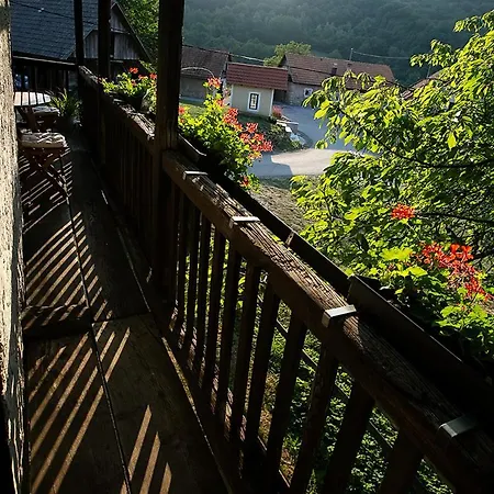 Hébergement de vacances Hiša 1875 - Authentic Boutique Heritage Kostanjevica na Krki